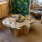 Asri Tree Trunk Coffee Table