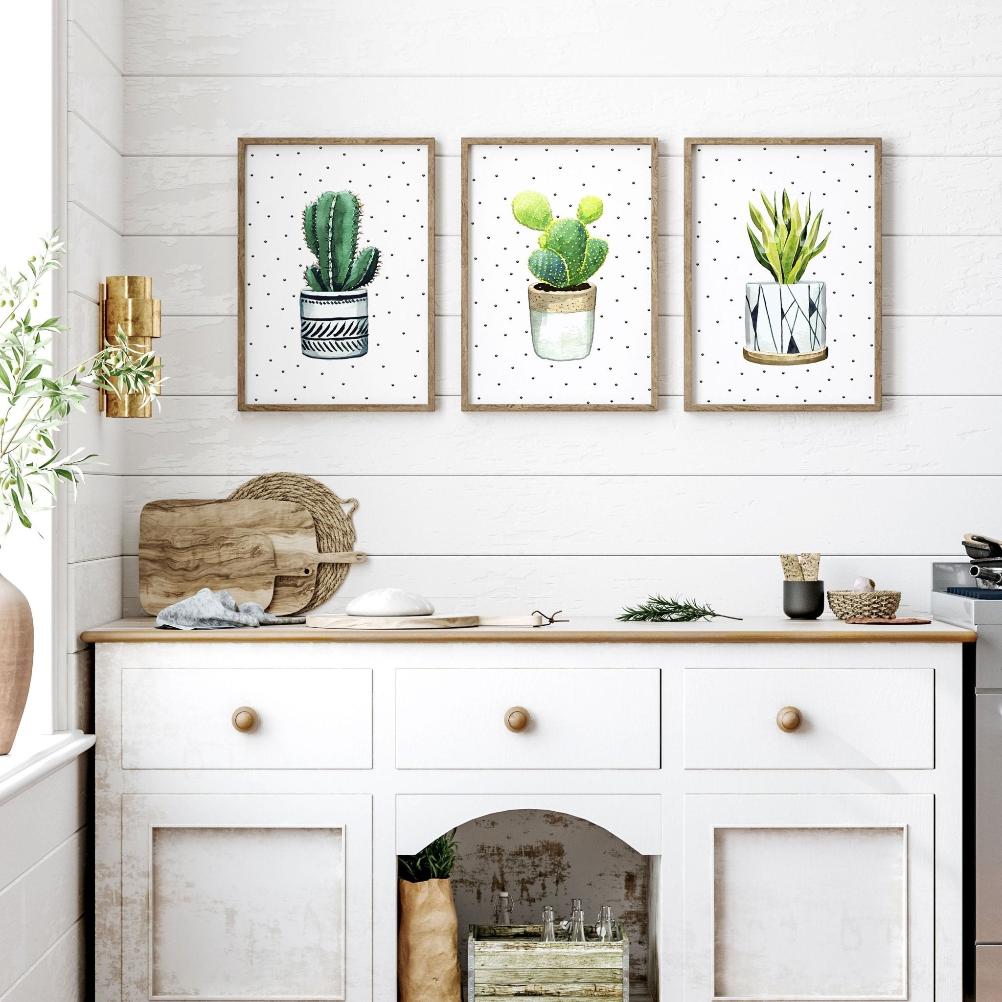 succulents in kitchen Wall pictures for Kitchen
