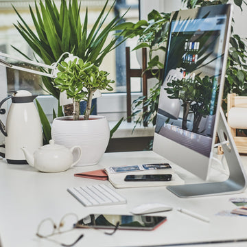 Best Plants for Offices: Bring Life and Calm Into Your Workspace - About Wall Art