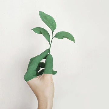 How nature-inspired art can transform your walls into a soul-soothing masterpiece? - About Wall Art