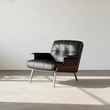 1. Vasilev black leather armchair in sunlight