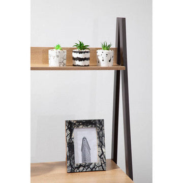 Mimo Set of 3 White And Black Succulents