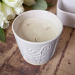3 - Wick Candle in White Ceramic Fern Pot