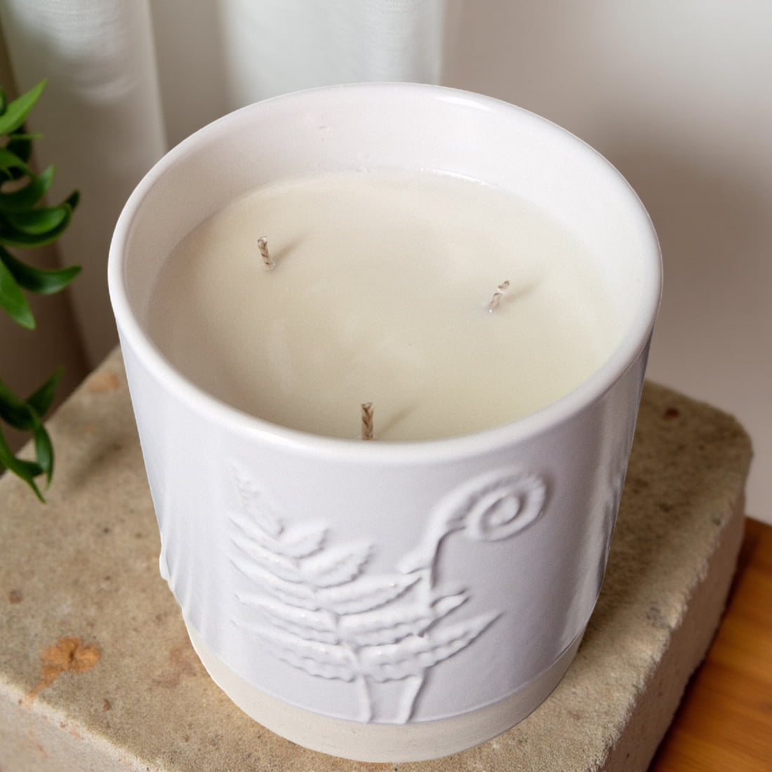 3 - Wick Candle in White Ceramic Fern Pot