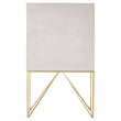 Sadras Whitewash Mango Wood Cabinet