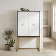 Dumas Black and White 2 Door Cabinet