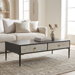 Luxor Grey Recycled Pine Wood Coffee Table with Drawers