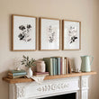 Abstract Floral Botanical wall art | Ivory & Grey Botanical Studies displayed on a wall in a styled room — view 2
