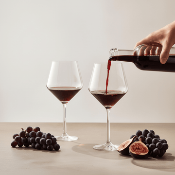 Ada Set Of 2 Crystal Burgundy Glasses