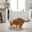 Adore Pets 0.4Ltr Cat That Got The Cream Bowl