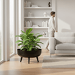 Alina Black Planter