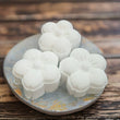 All - Natural Shower Steamers