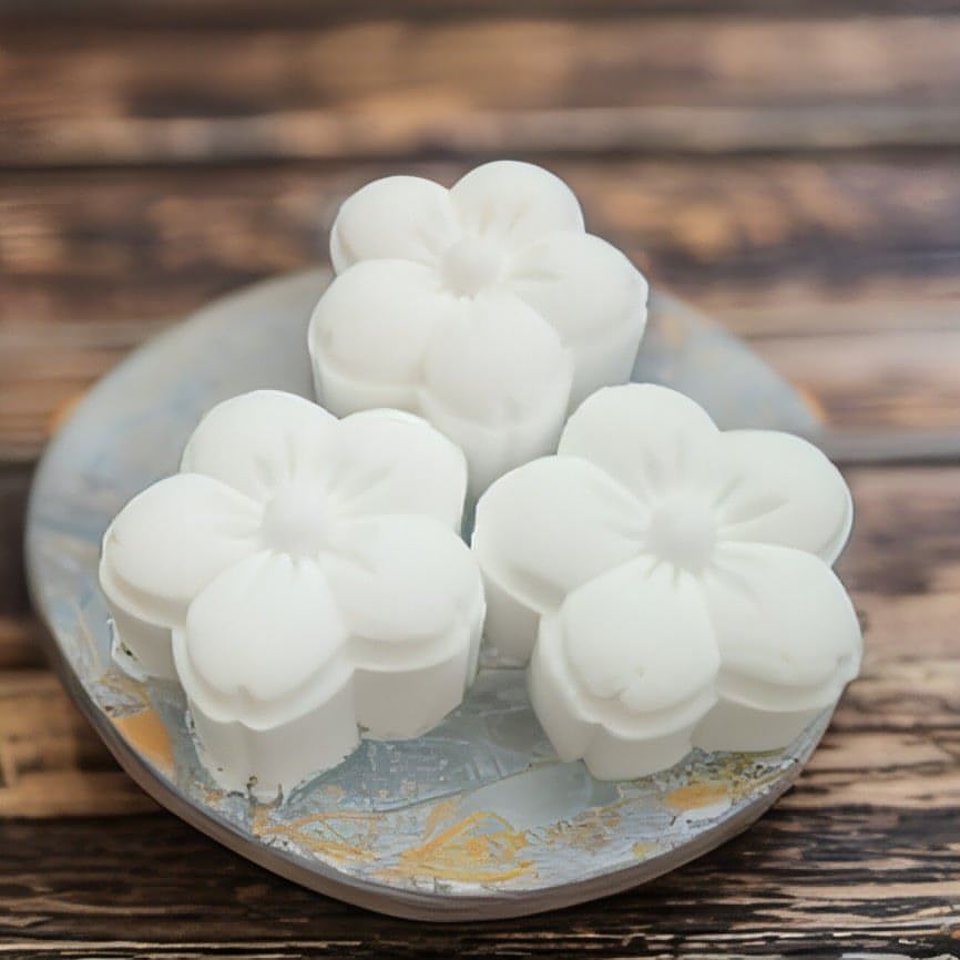 All - Natural Shower Steamers