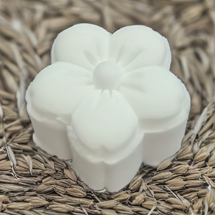 All - Natural Shower Steamers