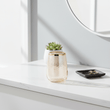 Allegra Bathroom Glass Tumbler
