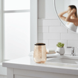 Allegra Glass Bathroom Tumbler