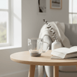 Amari Double Wall Glass Mug 350ml