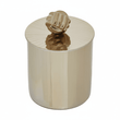 Amreli Large Trinket Box