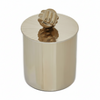 Amreli Small Vertical Textured Gold Metal Trinket Box