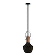 Argo Medium Pendant Light in Black and Copper