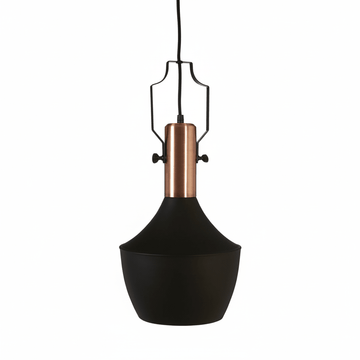 Argo Medium Pendant Light in Black and Copper