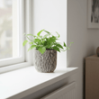 Arid Earthenware Planter