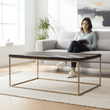 Aris Black And Gold Coffee Table