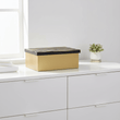 Aris Large Black and Gold Storage Box