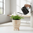 Arlo Large Natural Wooden Planter