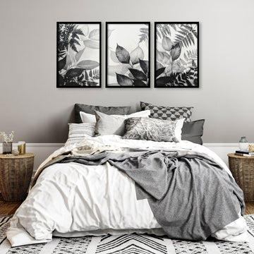 Art In Frames | Set of 3 Botanical Wall art Prints