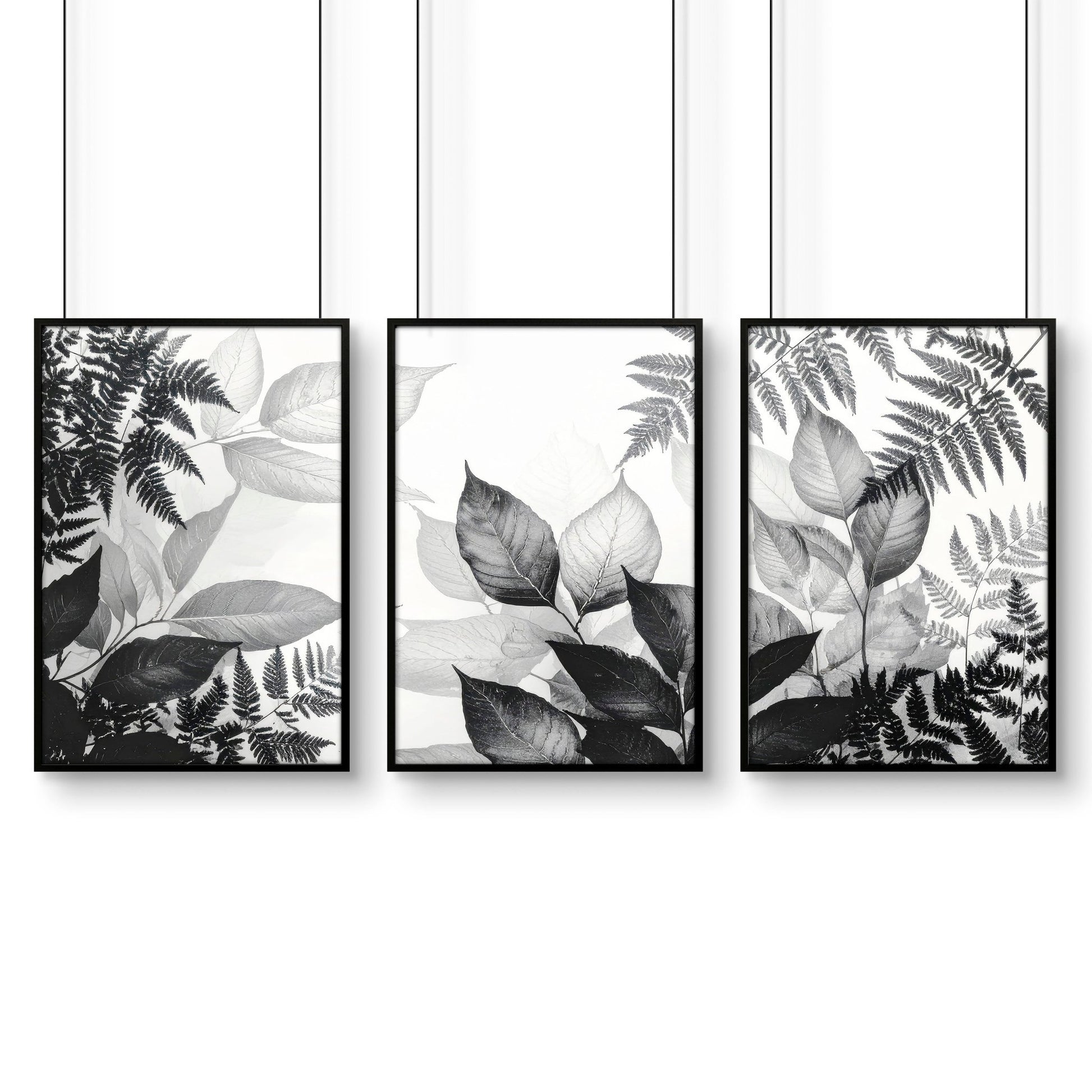 Art In Frames | Set of 3 Botanical Wall art Prints