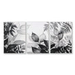 Art In Frames | Set of 3 Botanical Wall art Prints