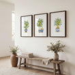 Art wall art Green Lemon Tree Watercolour | French Country Mediterranean Wall Art displayed on a wall in a styled room
