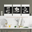 Artwork for a Kitchen Wall Black & White Botanical Floral wall art displayed on a wall in a styled room — view 6
