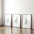 Artwork For Work Office | Set of 3 wall art prints