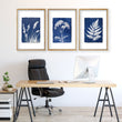 Artwork Nature Cyanotype Botanical Indigo wall art displayed on a wall in a styled room
