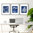 Artwork Nature Cyanotype Botanical Indigo wall art displayed on a wall in a styled room — view 3