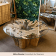 Asri Tree Trunk Coffee Table