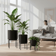 Avento Set Of Three Black Finish Planters