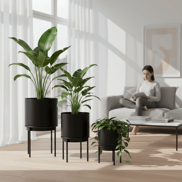 Avento Set Of Three Black Finish Planters
