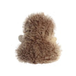 Palm Pals Hedgie Hedgehog Soft Toy 12cm