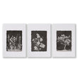 Bathroom Decor Sets Dark Botanical Wildflower & Blossom wall art as a wrapped canvas
