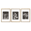 Bathroom Decor Sets Dark Botanical Wildflower & Blossom wall art in an oak frame