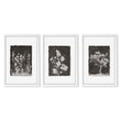 Bathroom Decor Sets Dark Botanical Wildflower & Blossom wall art in a white frame