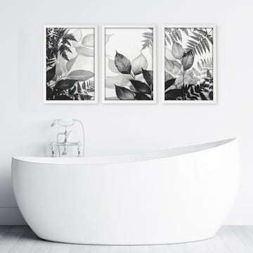 Bathroom Wall Prints | Set of 3 Botanical Wall art Prints