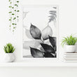 Bathroom Wall Prints | Set of 3 Botanical Wall art Prints
