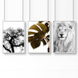 Bedroom Art Work | Set of 3 African Wildlife Wall art Prints