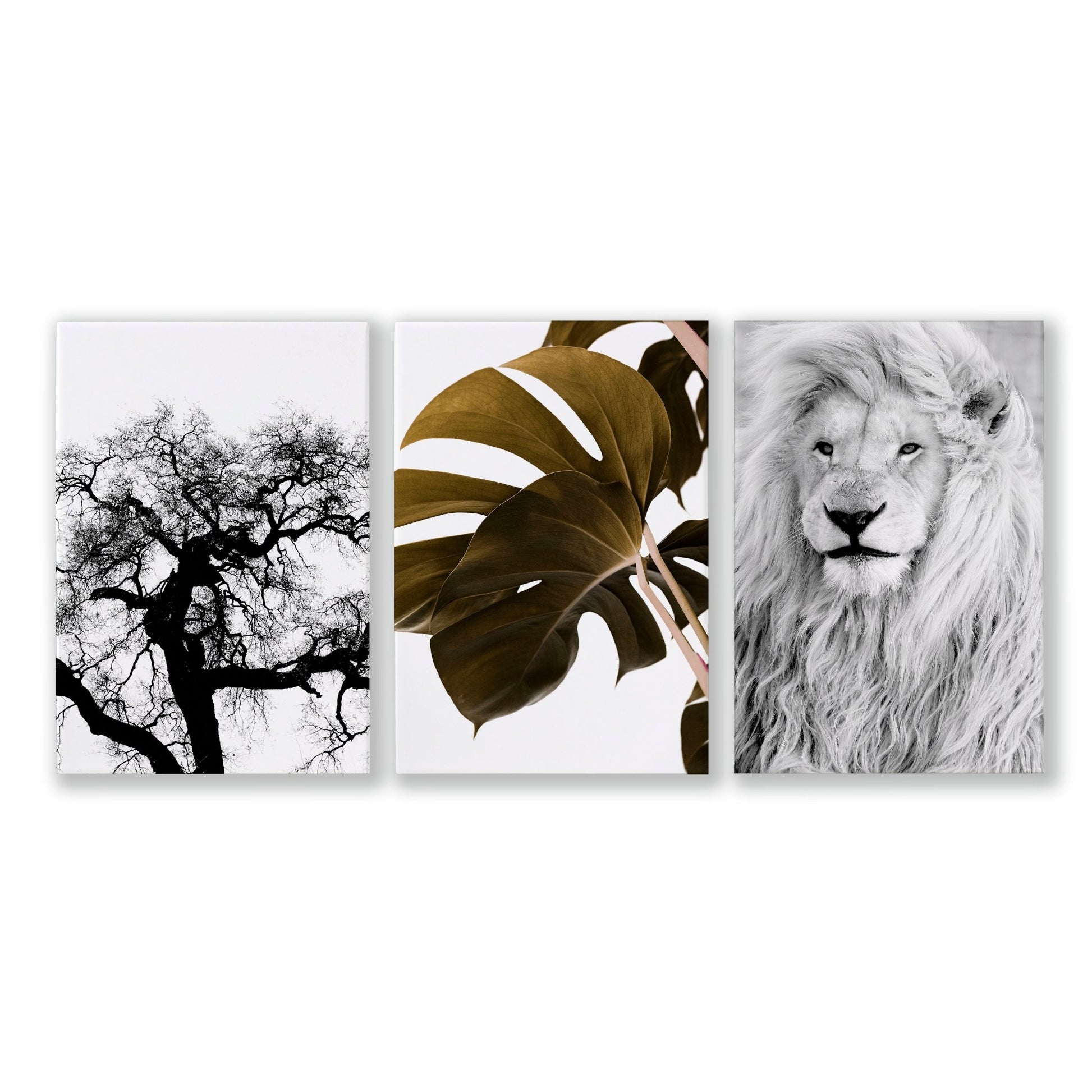 Bedroom Art Work | Set of 3 African Wildlife Wall art Prints