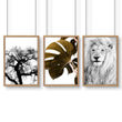 Bedroom Art Work | Set of 3 African Wildlife Wall art Prints