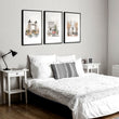 Bedroom Framed Pictures 